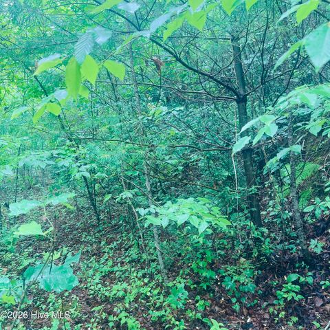 Lot 20 Owl Bluff, Murphy, NC 28906