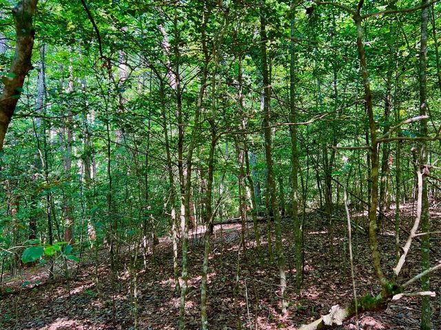 #2 Afton Road, Dawsonville, GA 30534