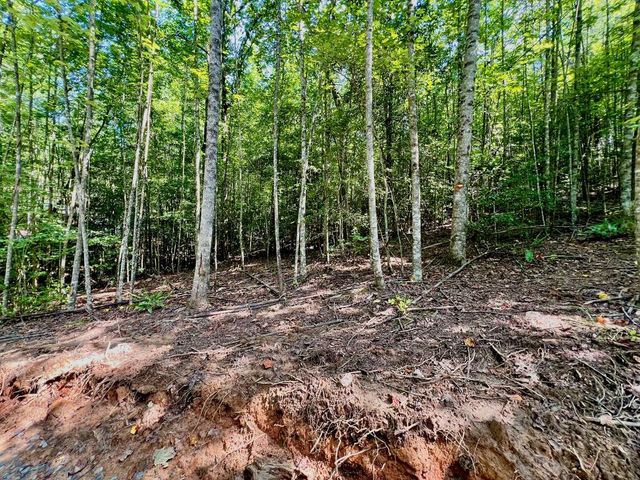 #2 Afton Road, Dawsonville, GA 30534