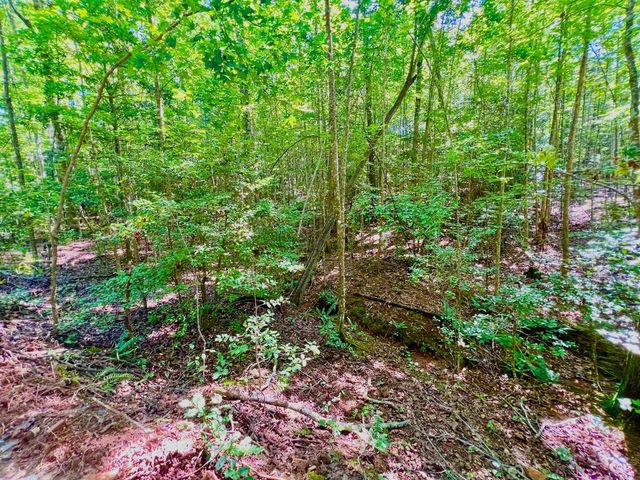 #2 Afton Road, Dawsonville, GA 30534