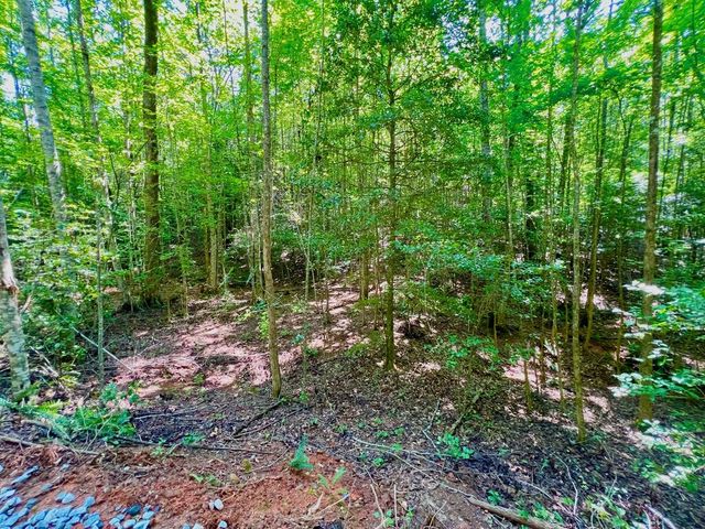#2 Afton Road, Dawsonville, GA 30534
