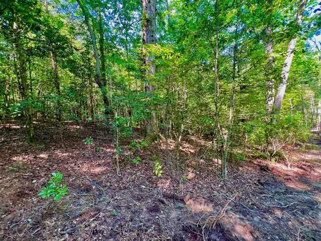 #2 Afton Road, Dawsonville, GA 30534