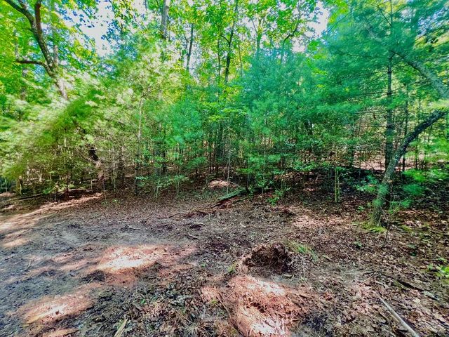 #2 Afton Road, Dawsonville, GA 30534