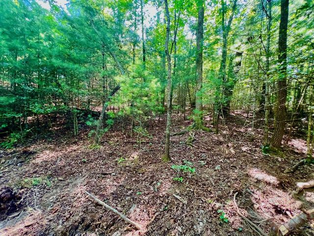 #2 Afton Road, Dawsonville, GA 30534