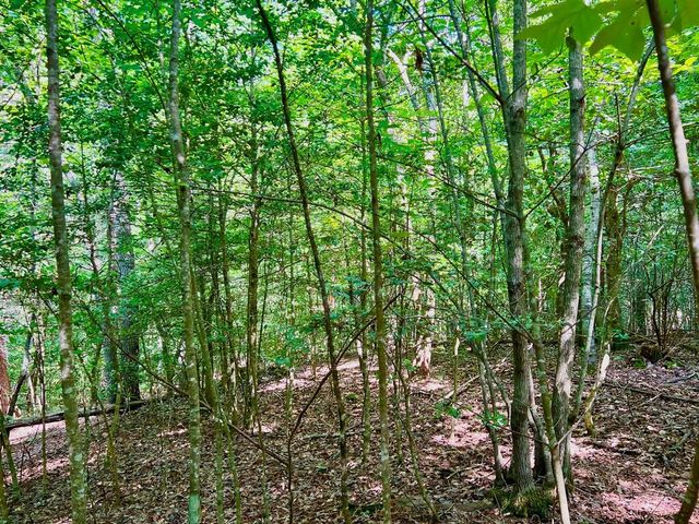 #2 Afton Road, Dawsonville, GA 30534