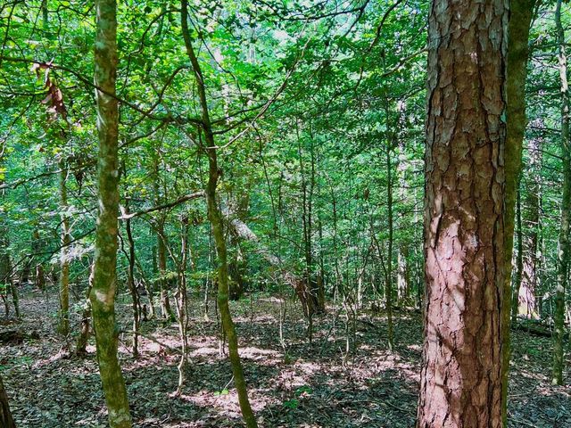 #2 Afton Road, Dawsonville, GA 30534