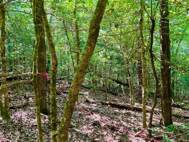 #2 Afton Road, Dawsonville, GA 30534