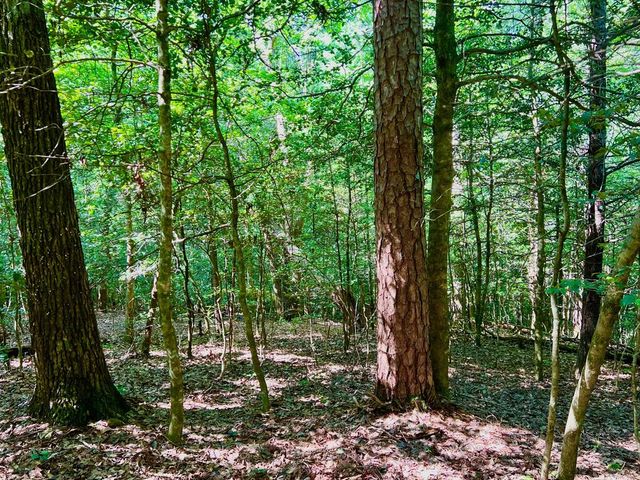 #2 Afton Road, Dawsonville, GA 30534