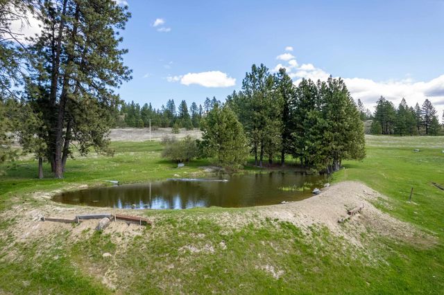 29024 N HARDESTY Rd, Chattaroy, WA 99003