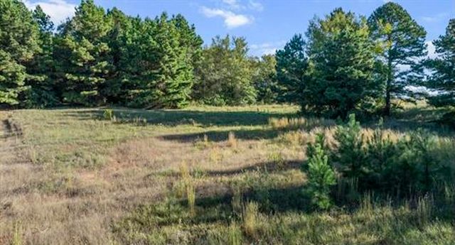 17218 Stella Maris Street, Winona, TX 75792
