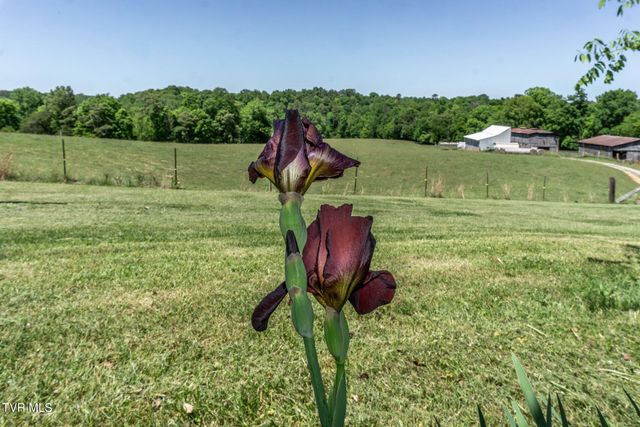 180 South Mill Road, Greeneville, TN 37743