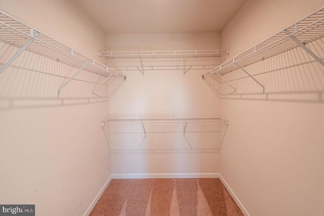 100 COVILLE ST, Middletown, VA 22645