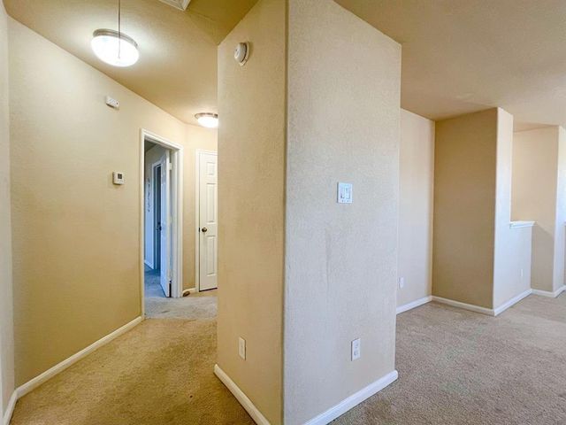 10126 Larch Creek Court, Houston, TX 77044