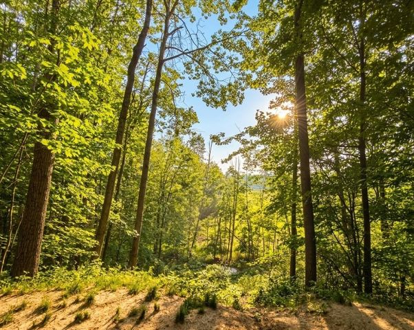 10654 Alpine Drive, Lake, MI 48632