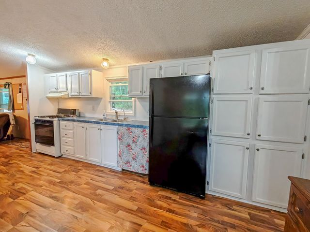 10654 Alpine Drive, Lake, MI 48632