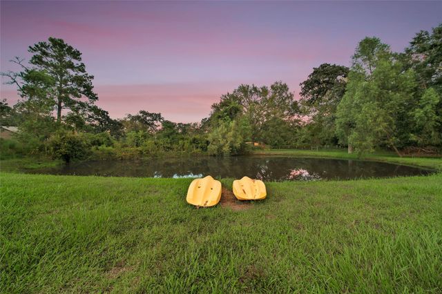 32202 Mink Creek Court, Magnolia, TX 77355