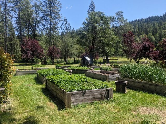 29276 Bullskin Ridge Road, Oak Run, CA 96069