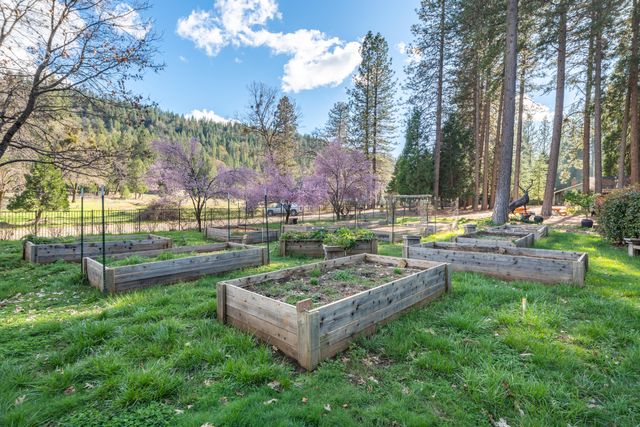 29276 Bullskin Ridge Road, Oak Run, CA 96069