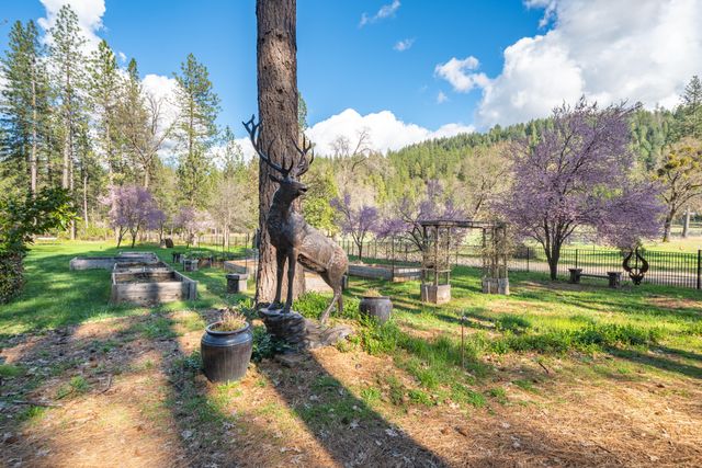 29276 Bullskin Ridge Road, Oak Run, CA 96069