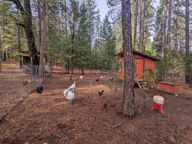 29276 Bullskin Ridge Road, Oak Run, CA 96069