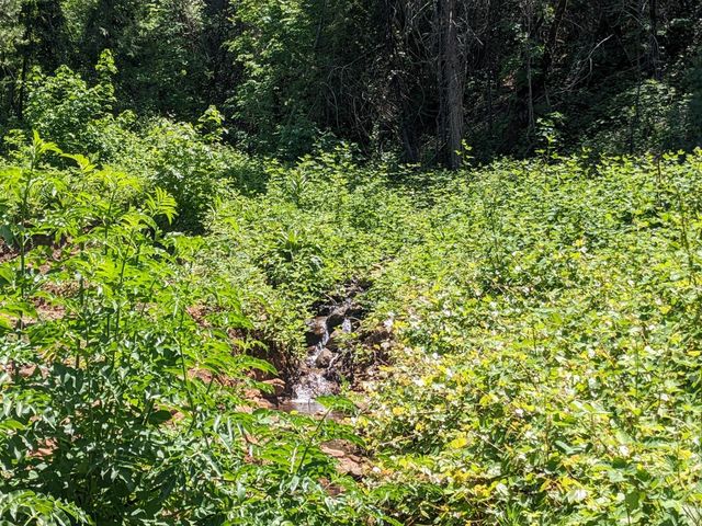 29276 Bullskin Ridge Road, Oak Run, CA 96069