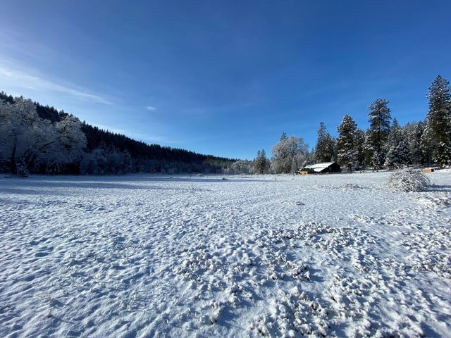 29276 Bullskin Ridge Road, Oak Run, CA 96069