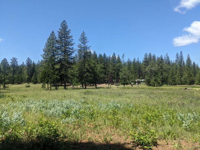 29276 Bullskin Ridge Road, Oak Run, CA 96069