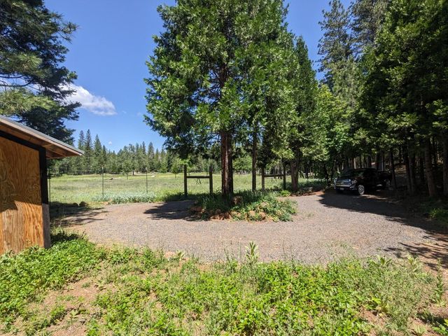 29276 Bullskin Ridge Road, Oak Run, CA 96069