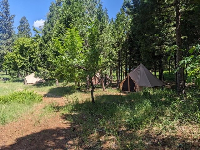 29276 Bullskin Ridge Road, Oak Run, CA 96069