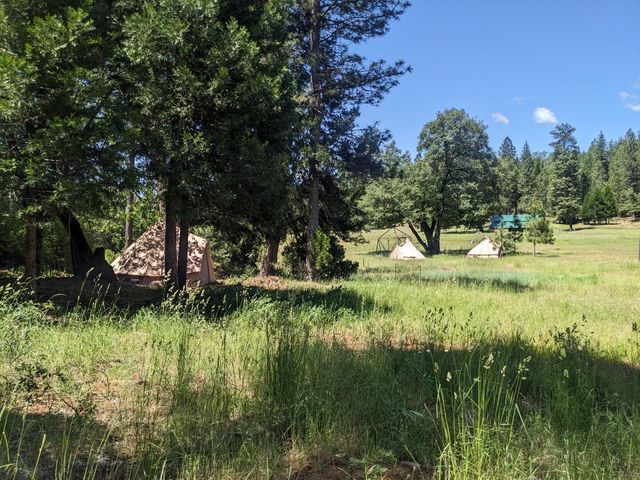 29276 Bullskin Ridge Road, Oak Run, CA 96069