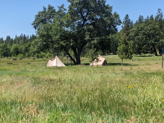 29276 Bullskin Ridge Road, Oak Run, CA 96069