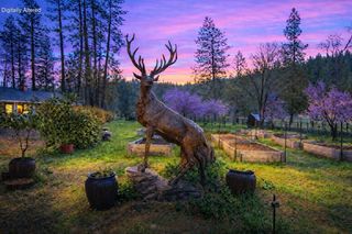 29276 Bullskin Ridge Road, Oak Run, CA 96069