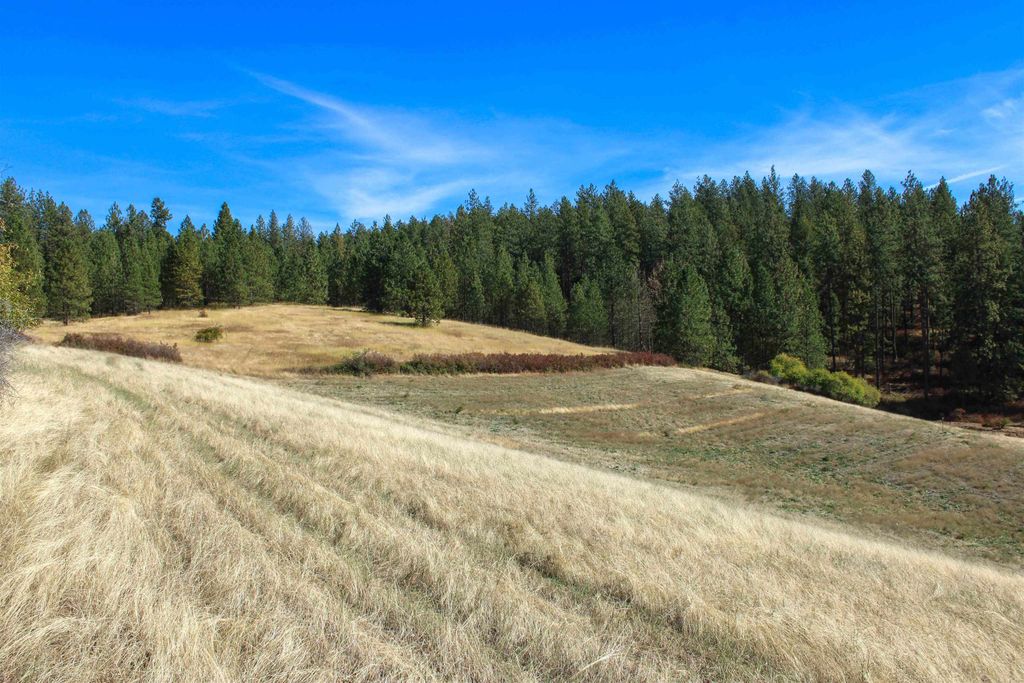 NKA (North lot) E Farwell Rd, Spokane, WA 99217 photo 4
