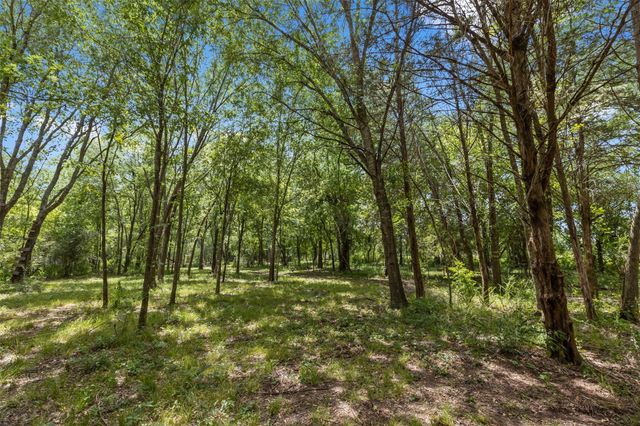 18022 Rogers Road, New Waverly, TX 77358