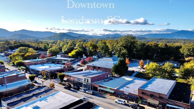 790 N Trade Ave Extension, Landrum, SC 29356
