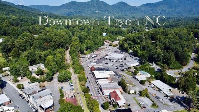 790 N Trade Ave Extension, Landrum, SC 29356