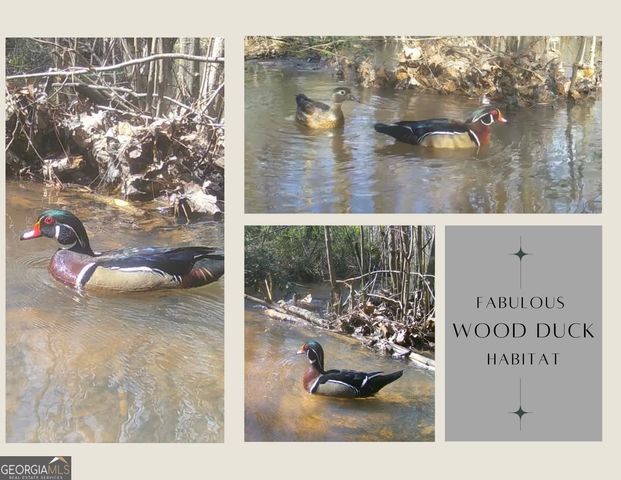 TRACT-1A John Lovelace Road, Lagrange, GA 30241