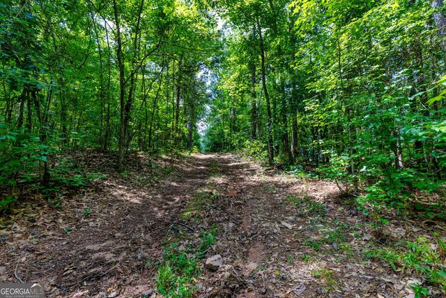 TRACT-1A John Lovelace Road, Lagrange, GA 30241