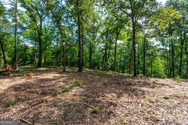 TRACT-1A John Lovelace Road, Lagrange, GA 30241