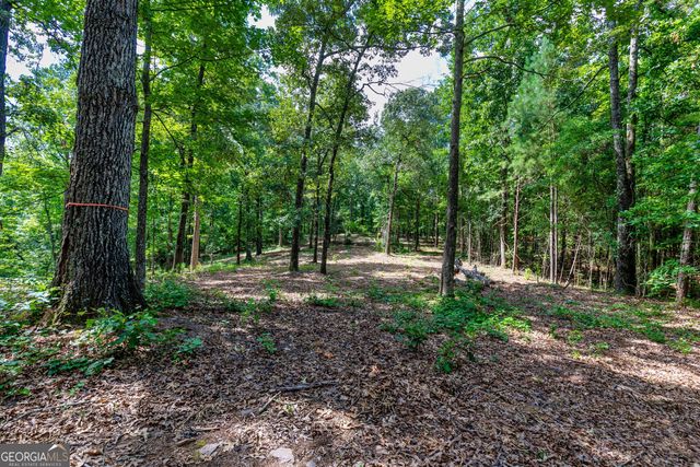 TRACT-1A John Lovelace Road, Lagrange, GA 30241