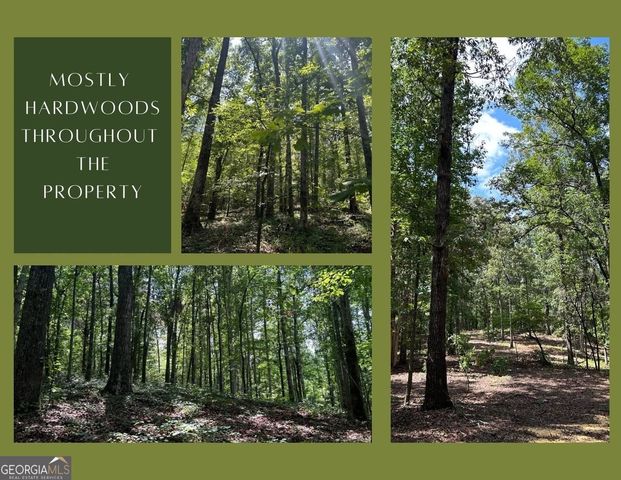 TRACT-1A John Lovelace Road, Lagrange, GA 30241