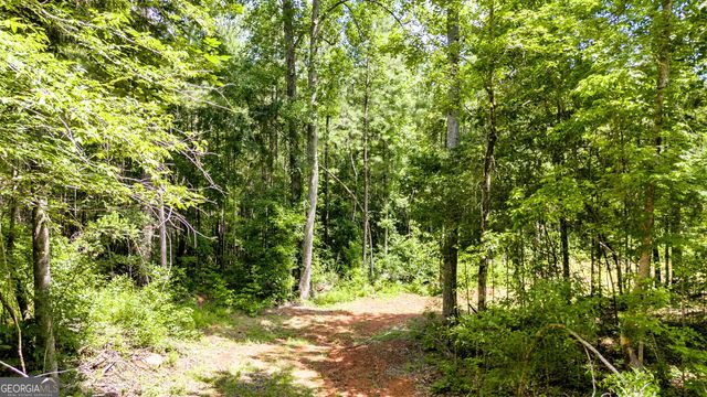 TRACT-1A John Lovelace Road, Lagrange, GA 30241