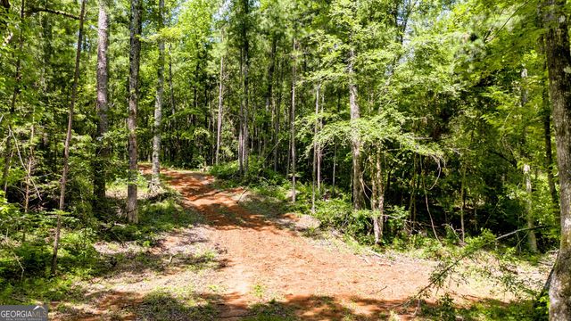 TRACT-1A John Lovelace Road, Lagrange, GA 30241