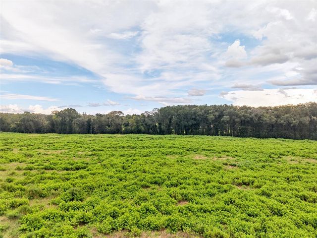 4949 NW 100TH STREET, Ocala, FL 34482