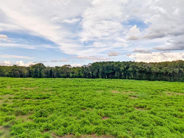 4949 NW 100TH STREET, Ocala, FL 34482