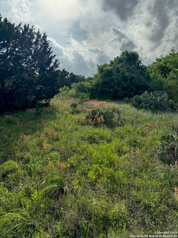 186 Maverick, New Braunfels, TX 78132