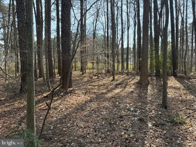 0 HENRY RD, Berlin, MD 21811