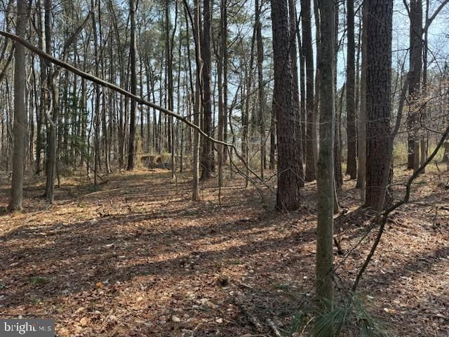 0 HENRY RD, Berlin, MD 21811