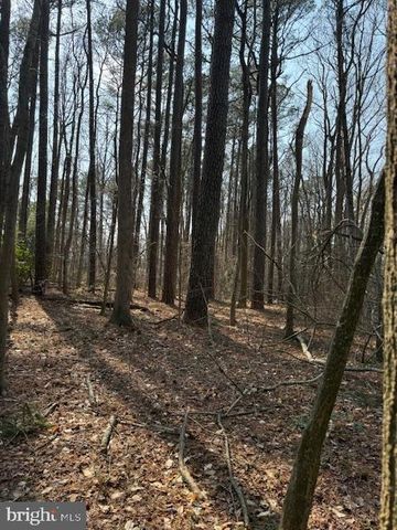 0 HENRY RD, Berlin, MD 21811