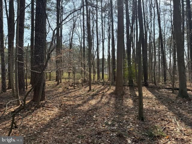 0 HENRY RD, Berlin, MD 21811